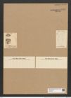 Entopyla pulchella (An.) Grun. (de-Toni-Nr.: Genus 101, Species 3104) Zeichnungen Sammlung Grunow Nr. 6337 (NHMW-BOT-W0374977)
